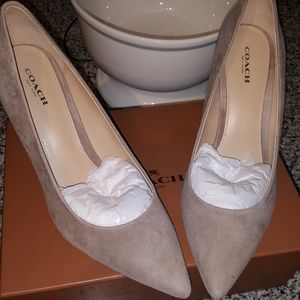 Coach Suede Heels